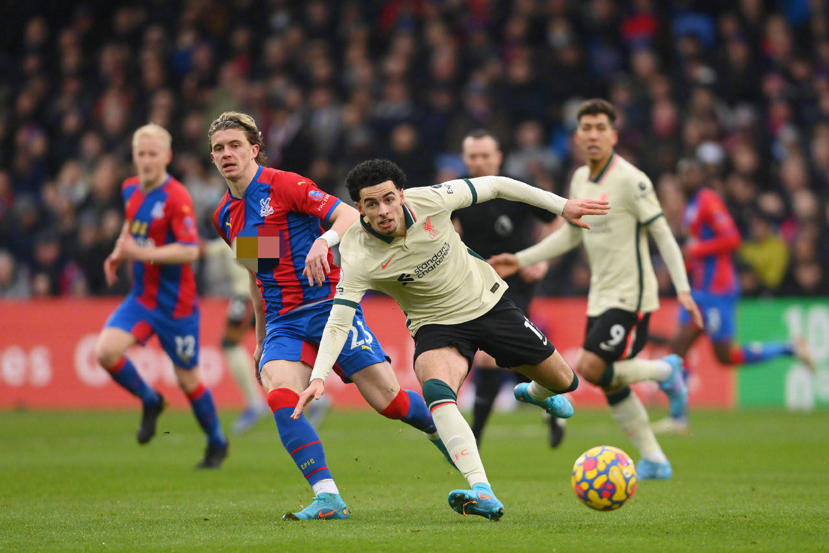 而球迷也能 而球迷也能