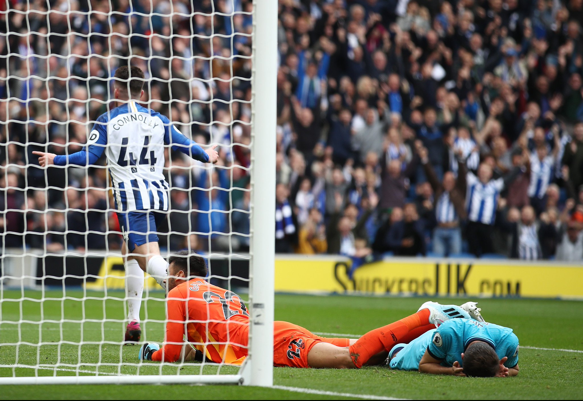 起了不小的 起了不小的